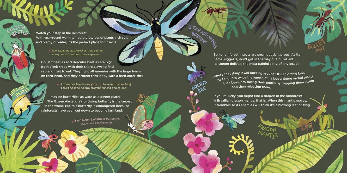 Hello, World! Kids' Guides: Exploring Insects