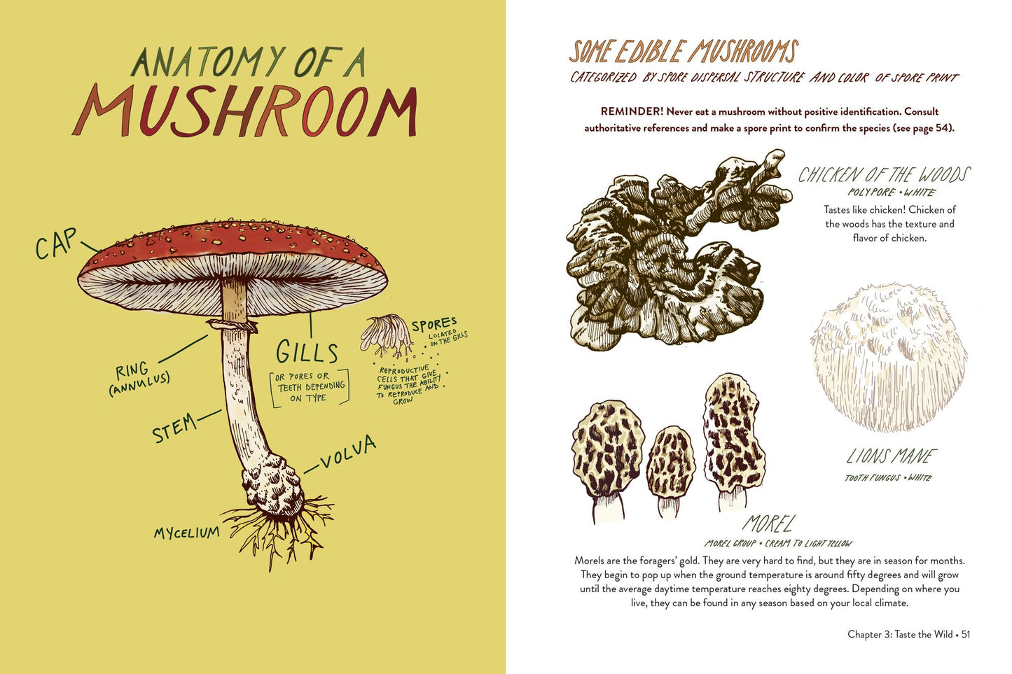 Everyday Wild: An Illustrated Guide for Mindfulness in Nature.