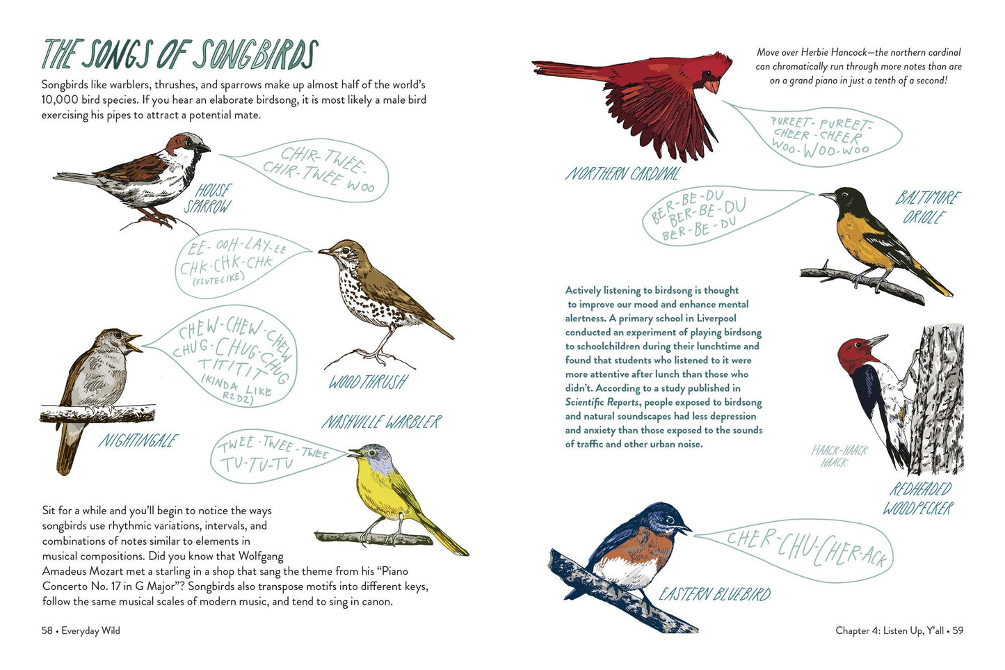 Everyday Wild: An Illustrated Guide for Mindfulness in Nature.