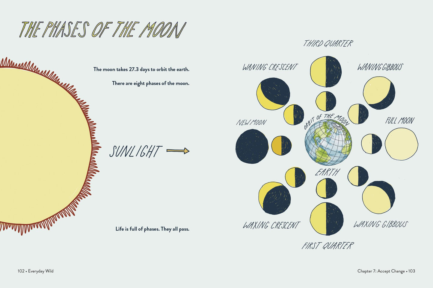 Everyday Wild: An Illustrated Guide for Mindfulness in Nature.
