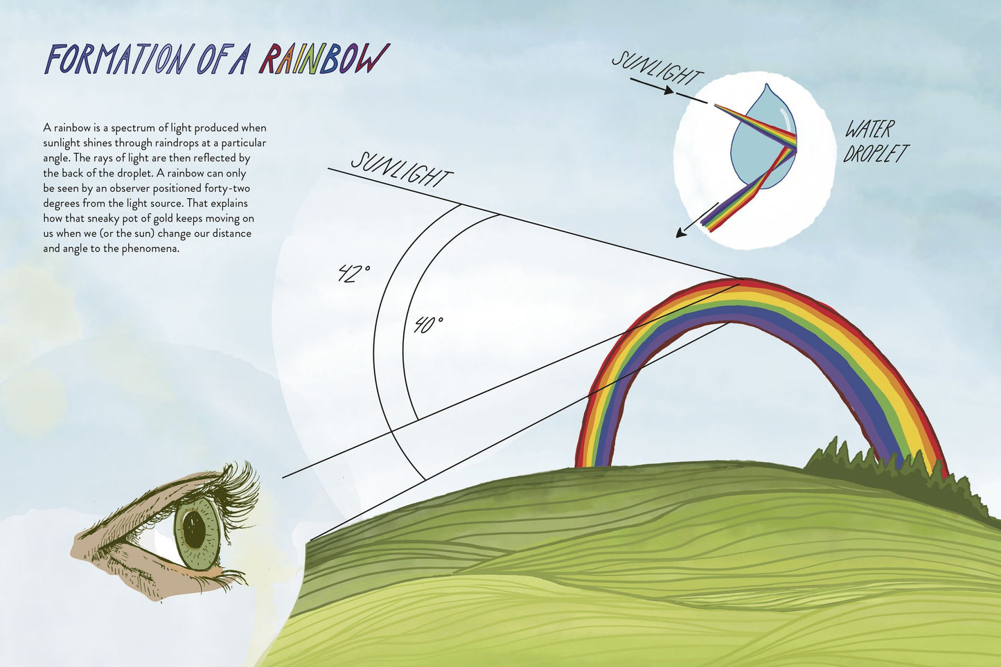 Everyday Wild: An Illustrated Guide for Mindfulness in Nature.
