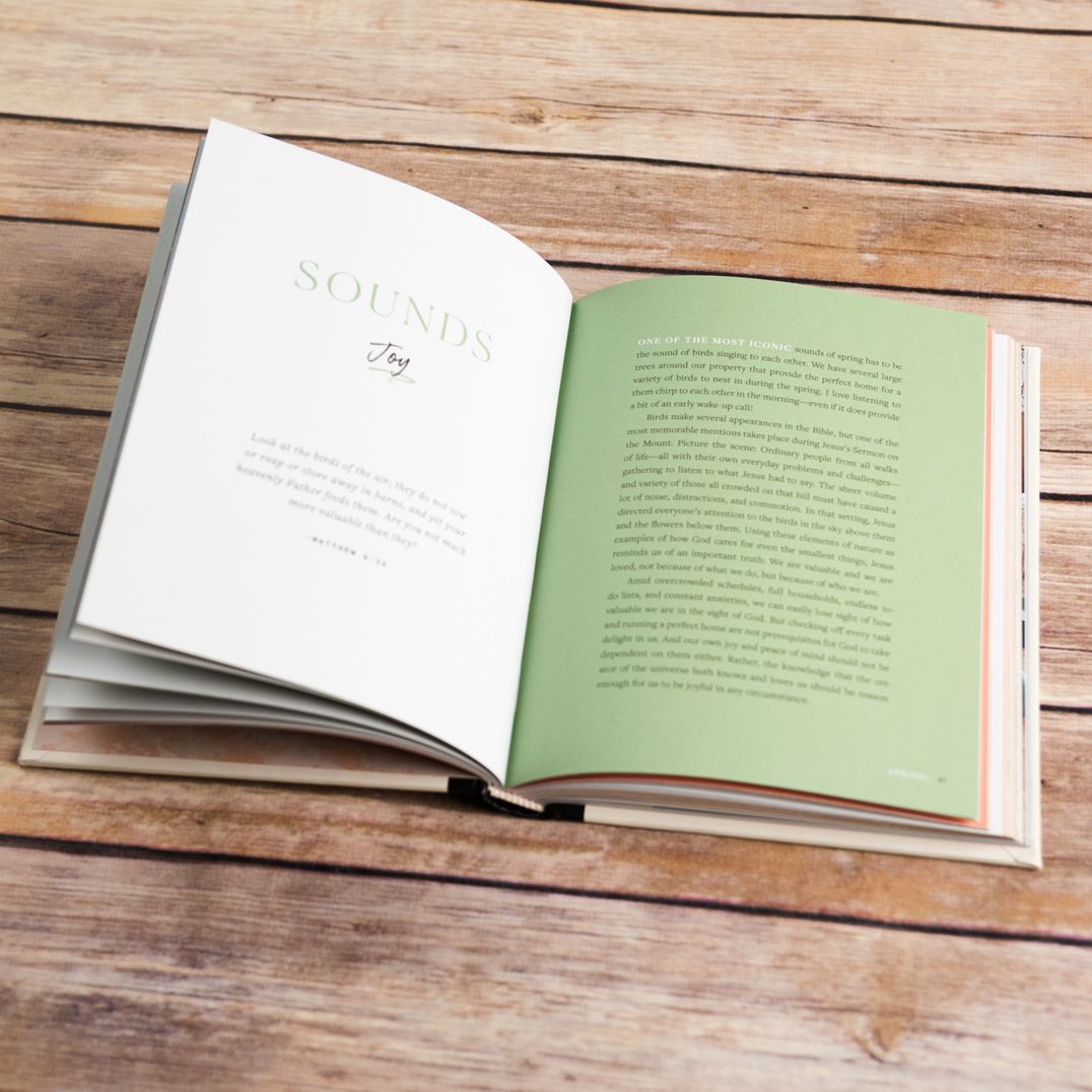 Reimagine Home: Devotions, Recipes, and Tips for Loving Your Home Through Every Season