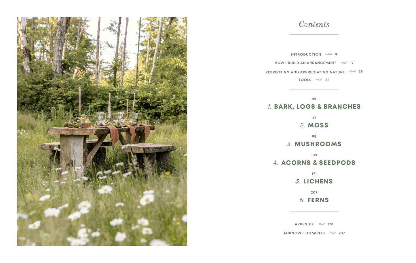 Wonder of the Woodlands: The Art of Seeing and Creating with Nature