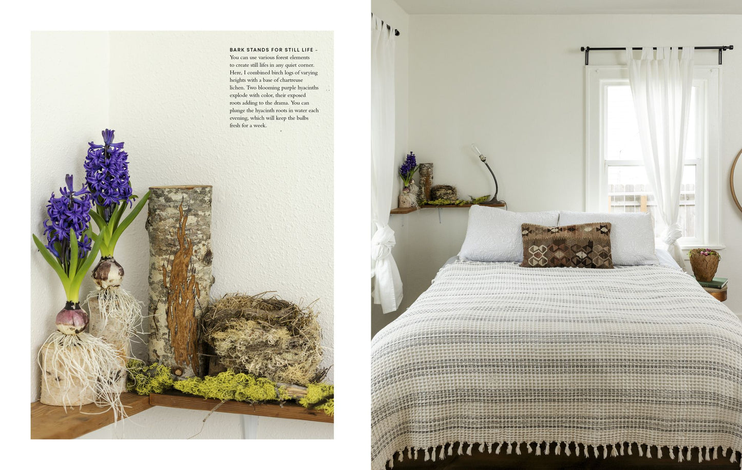 Wonder of the Woodlands: The Art of Seeing and Creating with Nature