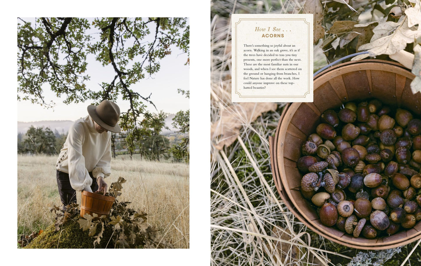 Wonder of the Woodlands: The Art of Seeing and Creating with Nature