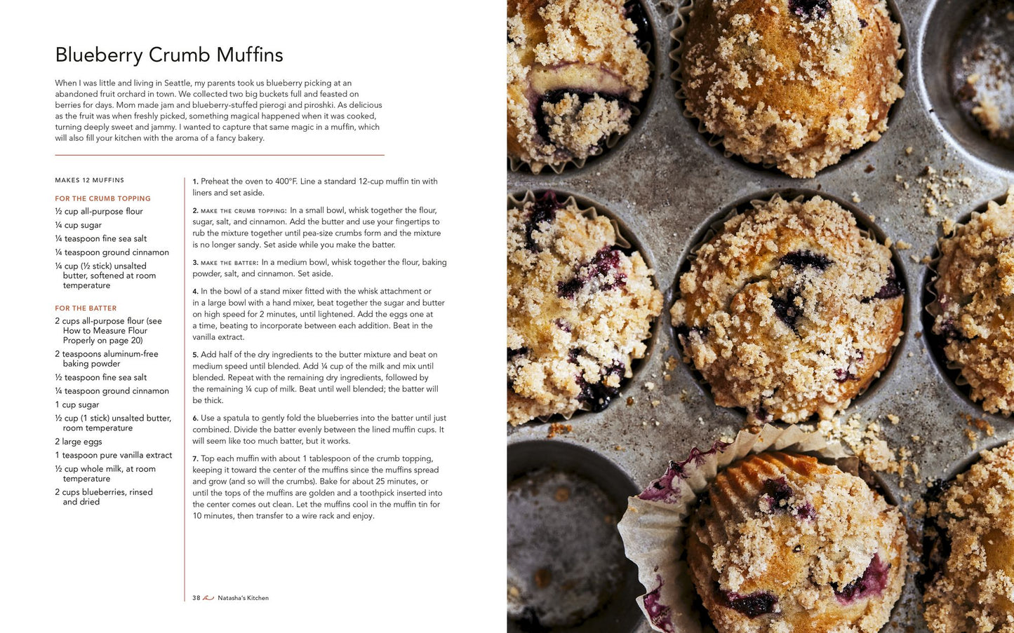 Natasha's Kitchen: 100+ Easy Family-Favorite Recipes You'll Make Again and Again: A Cookbook