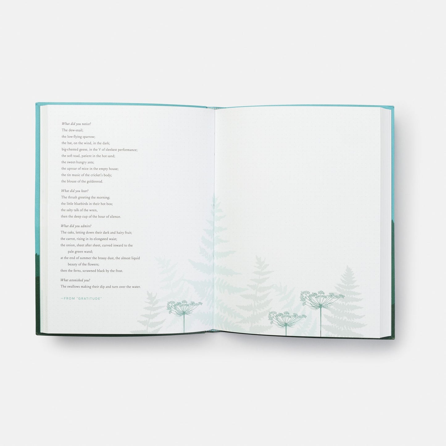 This Wild and Precious Life: A Journal