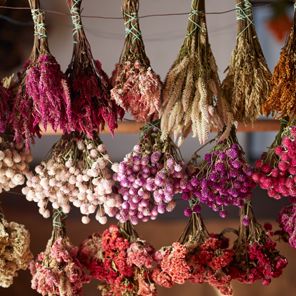 Designing with Dried Flowers: Creating Everlasting Arrangements