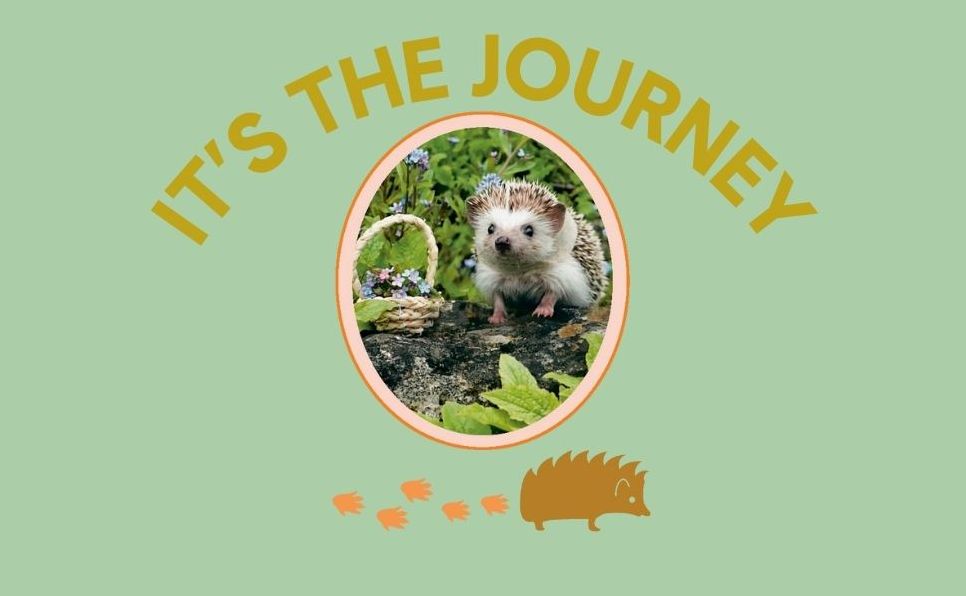 Every Little Thing Quill Be All Right: Hedgehugs and Happiness for When Life Feels Prickly