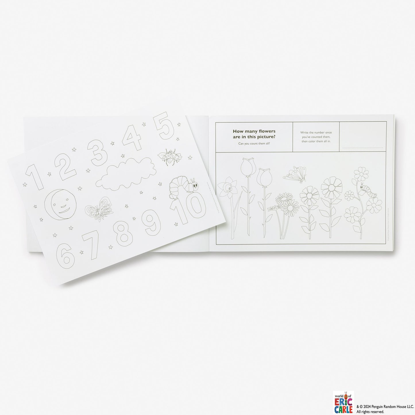 The Very Hungry Coloring Placemats: 40 Activity Sheets to Color