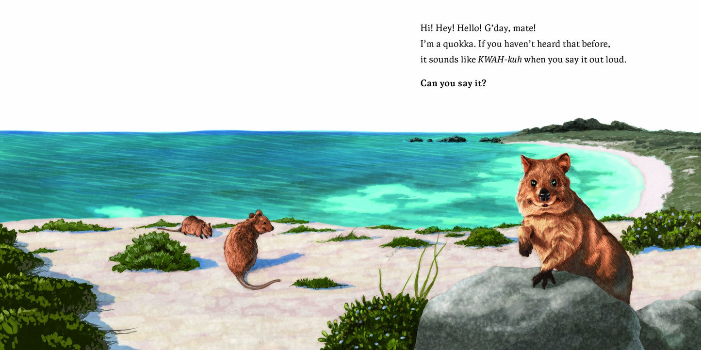 Hello, I'm a Quokka (Meet the Wild Things, Book 3)