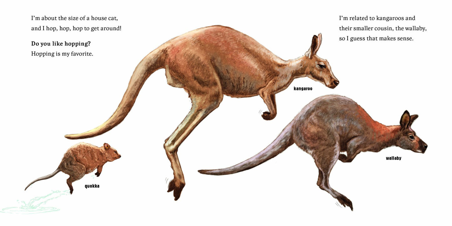 Hello, I'm a Quokka (Meet the Wild Things, Book 3)