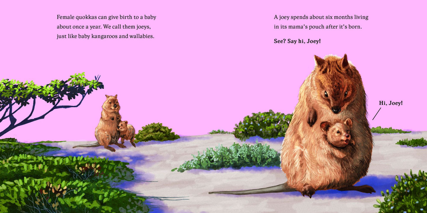 Hello, I'm a Quokka (Meet the Wild Things, Book 3)