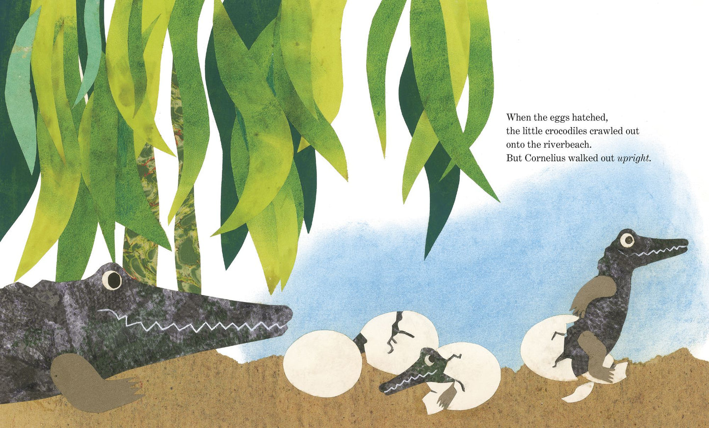 Cornelius (Oversized Board Book)