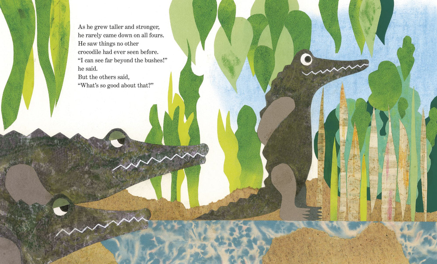 Cornelius (Oversized Board Book)