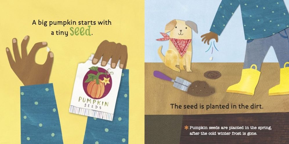 Hello, World! From Seed to Pumpkin
