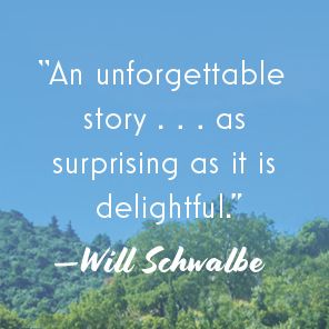 A Northern Light in Provence: A Novel
