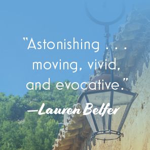 A Northern Light in Provence: A Novel