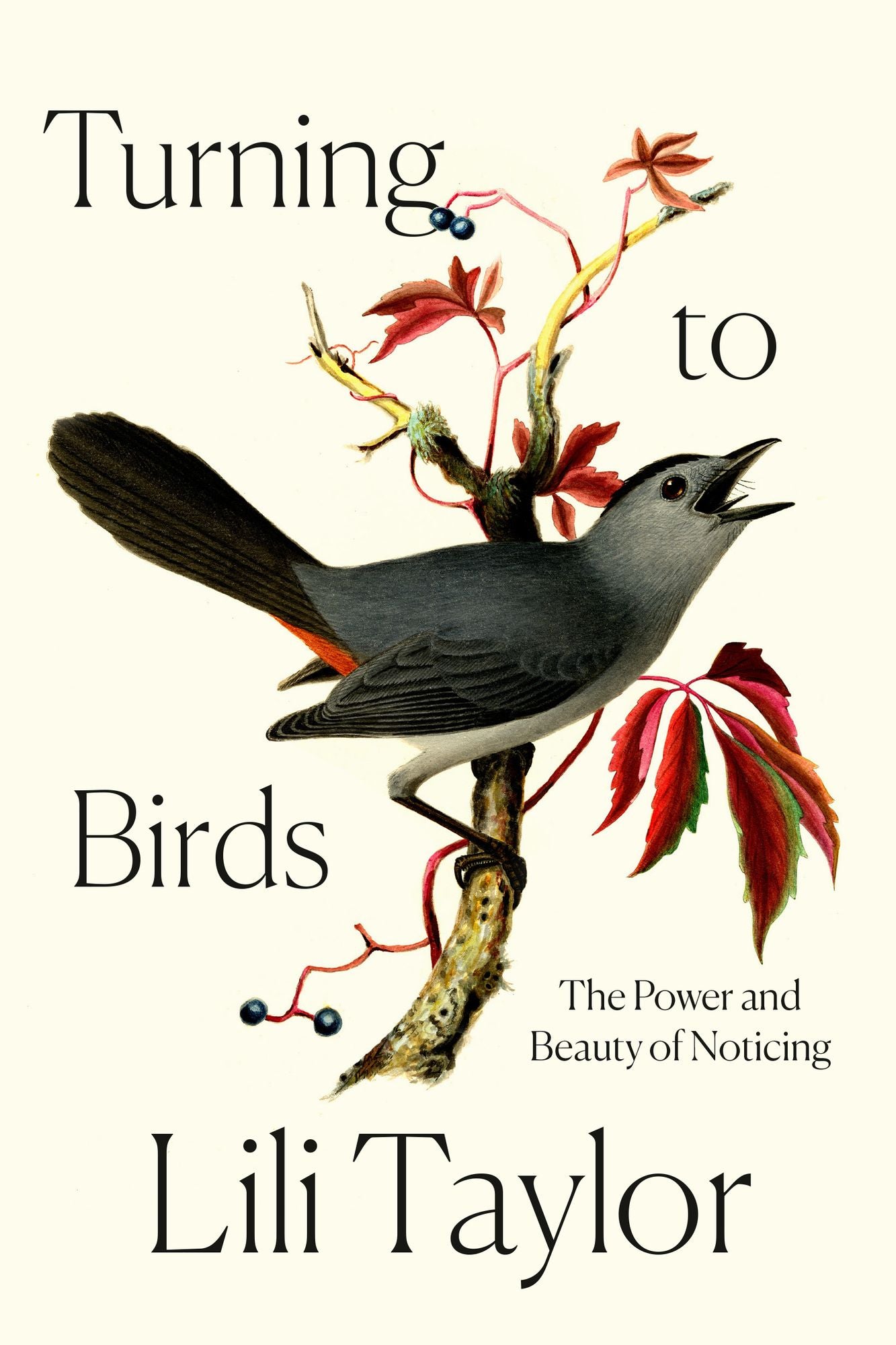 Turning to Birds: A Memoir in Essays