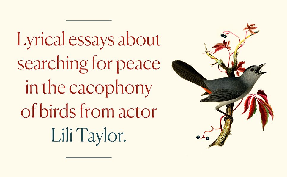 Turning to Birds: A Memoir in Essays