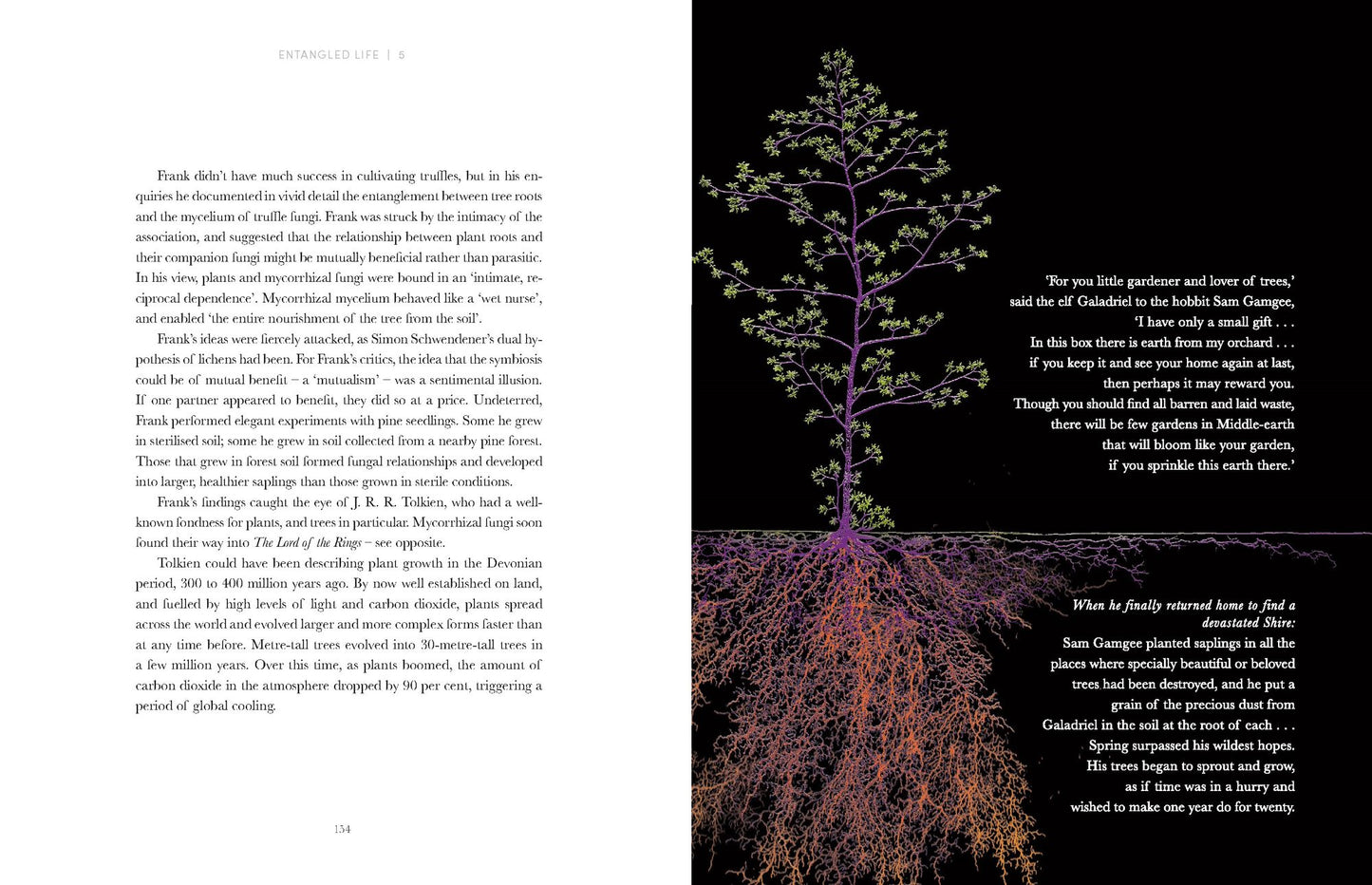 Entangled Life: The Illustrated Edition: How Fungi Make Our Worlds