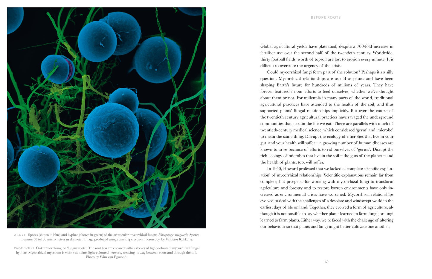 Entangled Life: The Illustrated Edition: How Fungi Make Our Worlds