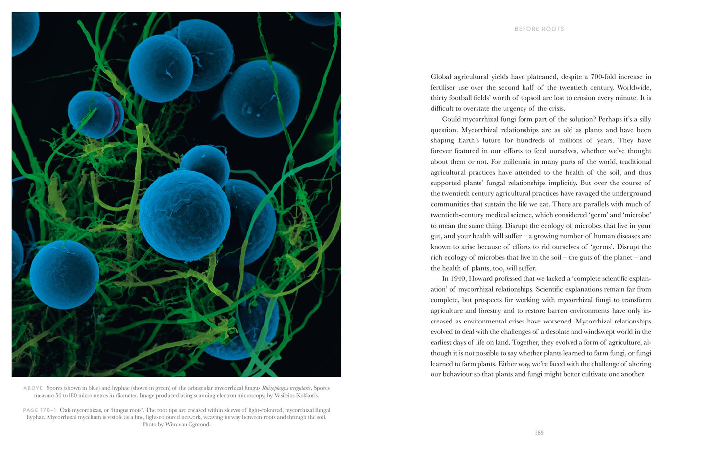 Entangled Life: The Illustrated Edition: How Fungi Make Our Worlds