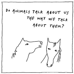 Questions Without Answers