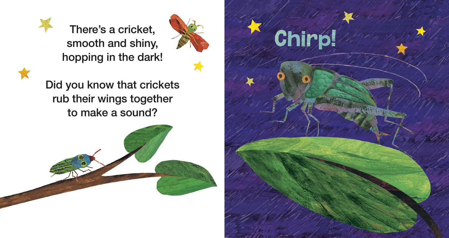 The Very Lonely Firefly's Nighttime Friends: A Touch-and-Feel Book