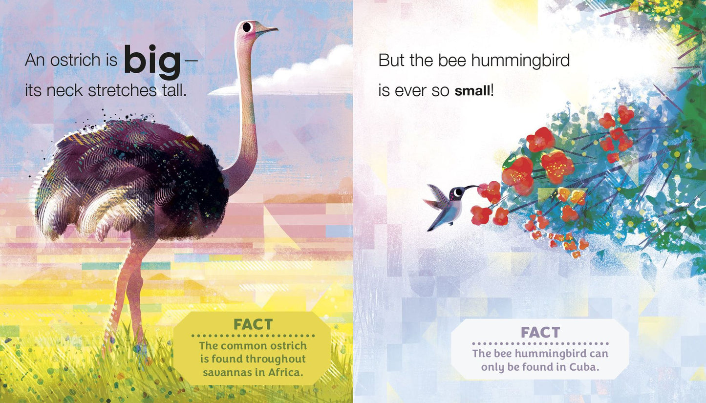 Birding for Babies: Birds Around the World: An Opposites Book
