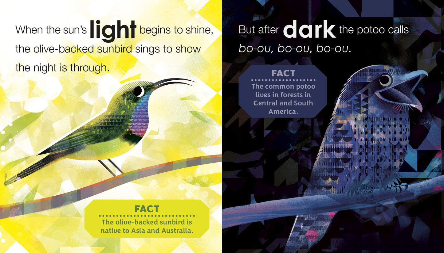 Birding for Babies: Birds Around the World: An Opposites Book