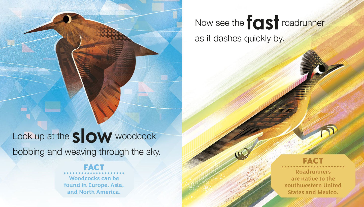 Birding for Babies: Birds Around the World: An Opposites Book