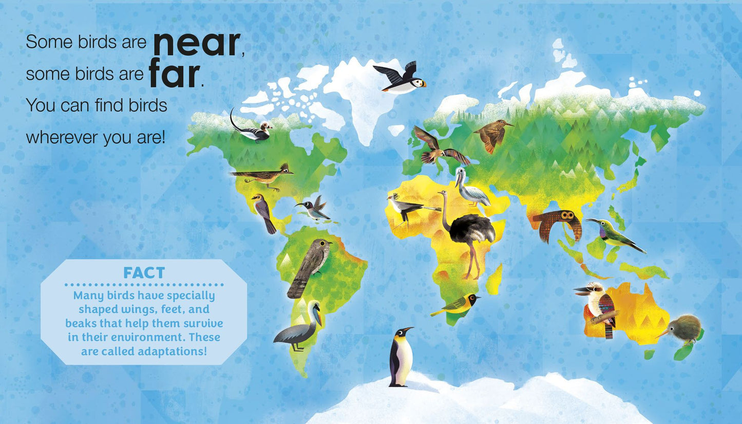 Birding for Babies: Birds Around the World: An Opposites Book