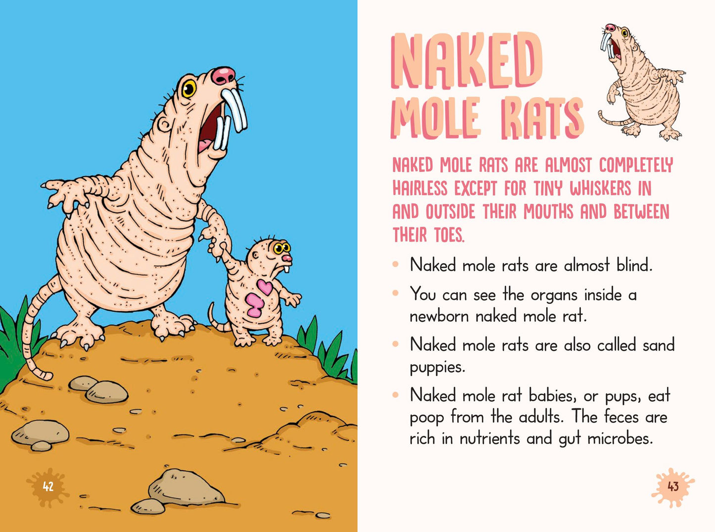 Nitty-Gritty Grossology: Over 101 Disgusting Facts!