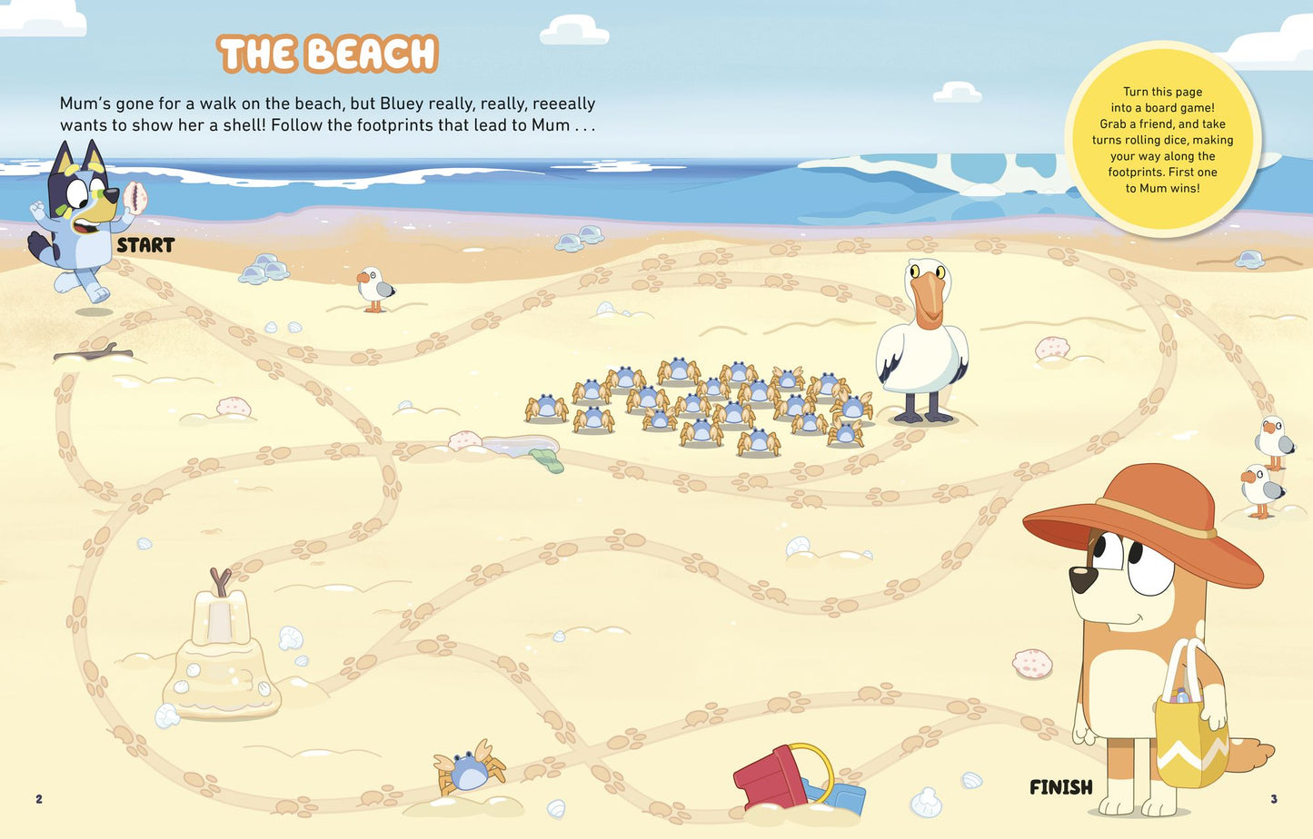 Bluey's Beach: An Activity Book