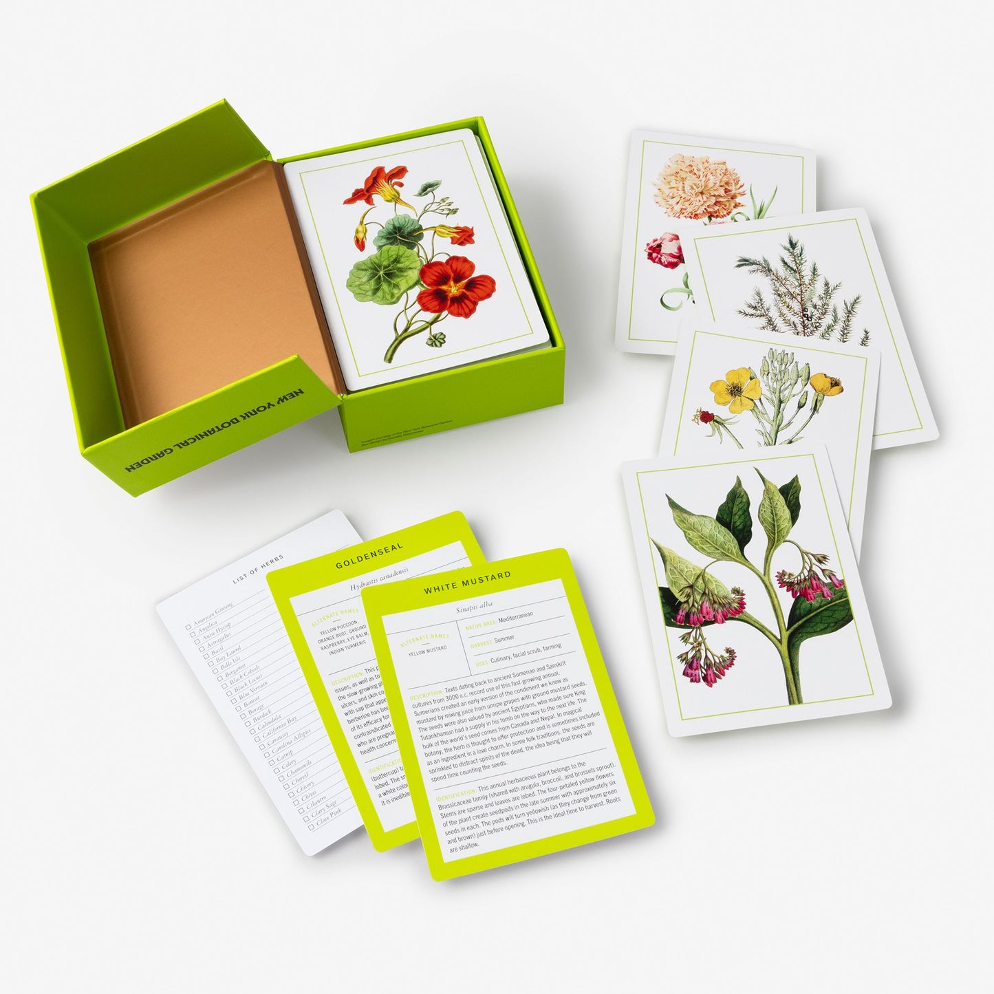 New York Botanical Garden Herb Identification Flashcards: 100 Common Herbs of North America