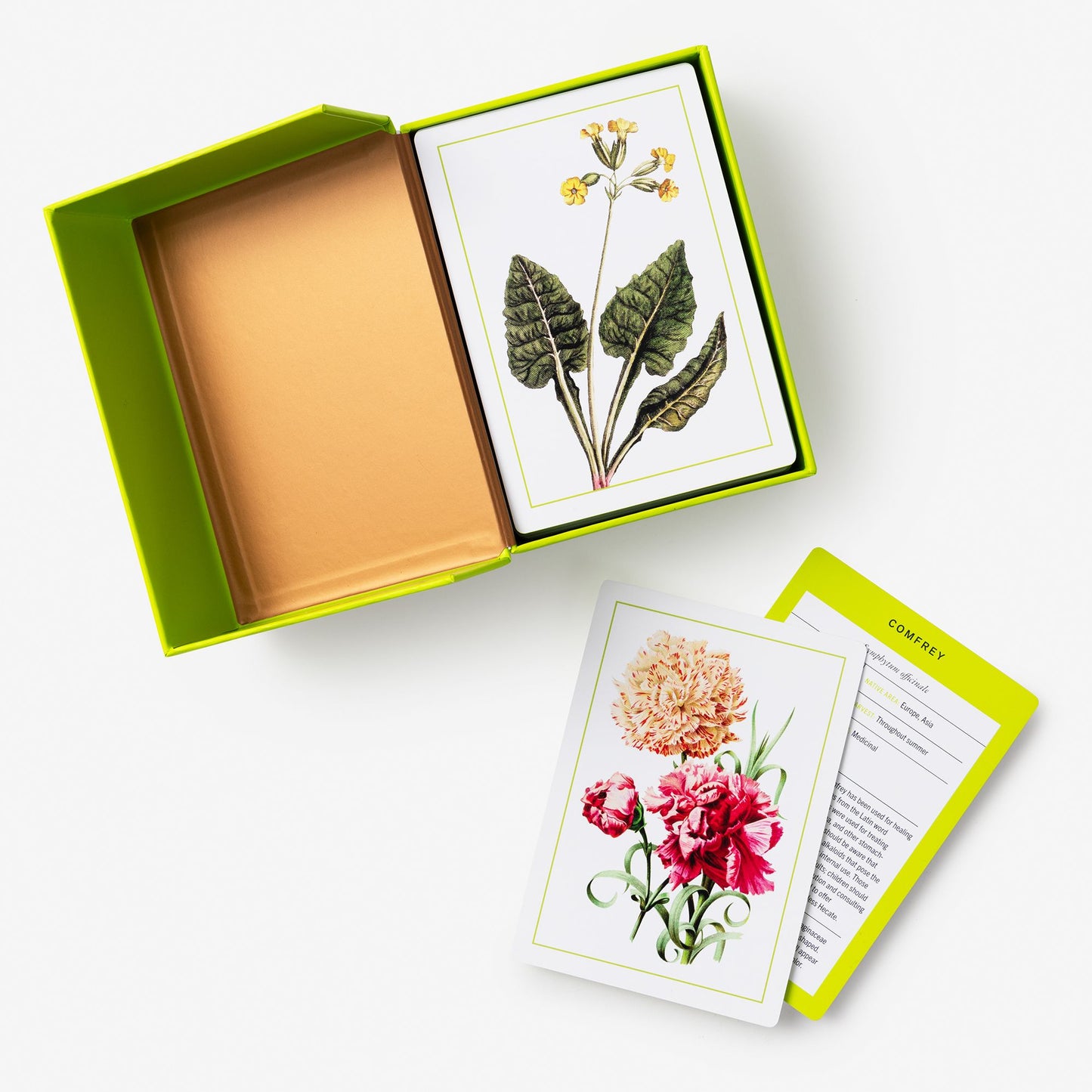 New York Botanical Garden Herb Identification Flashcards: 100 Common Herbs of North America