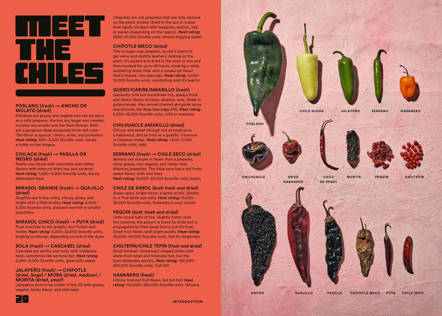 Salsa Daddy: A Cookbook: Dip Your Way into Mexican Cooking
