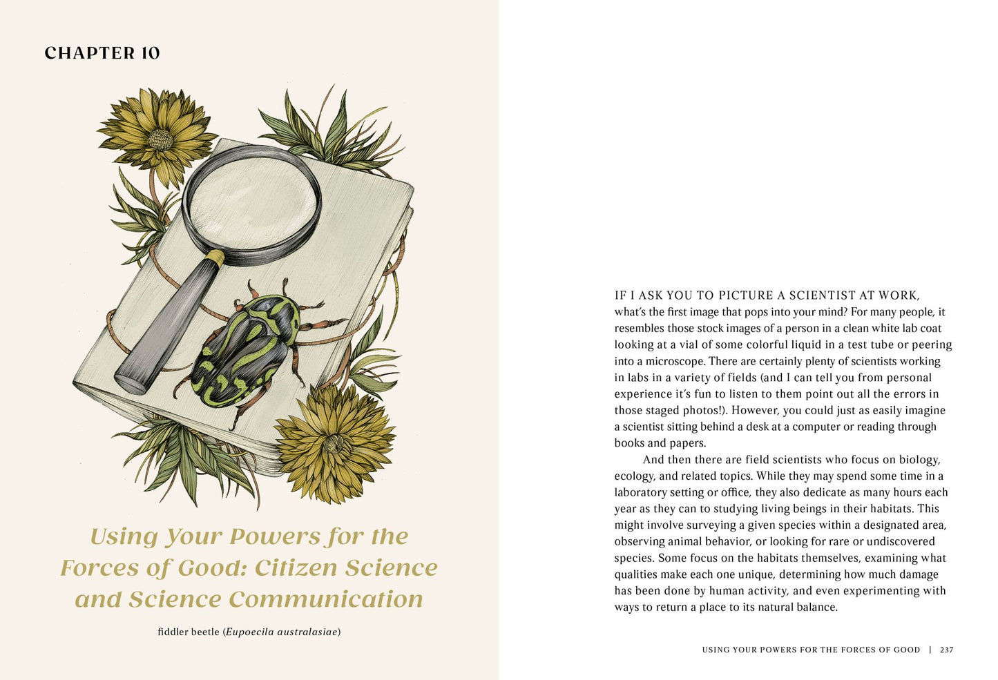 The Everyday Naturalist: How to Identify Animals, Plants, and Fungi Wherever You Go