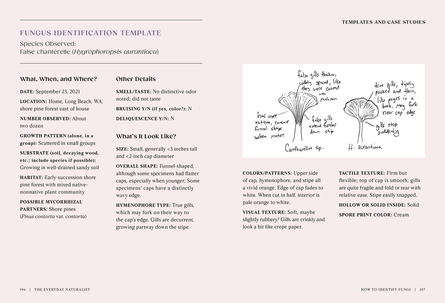 The Everyday Naturalist: How to Identify Animals, Plants, and Fungi Wherever You Go