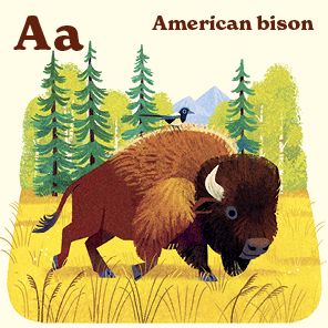 Animals of the National Parks: An Alphabet Book