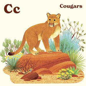 Animals of the National Parks: An Alphabet Book