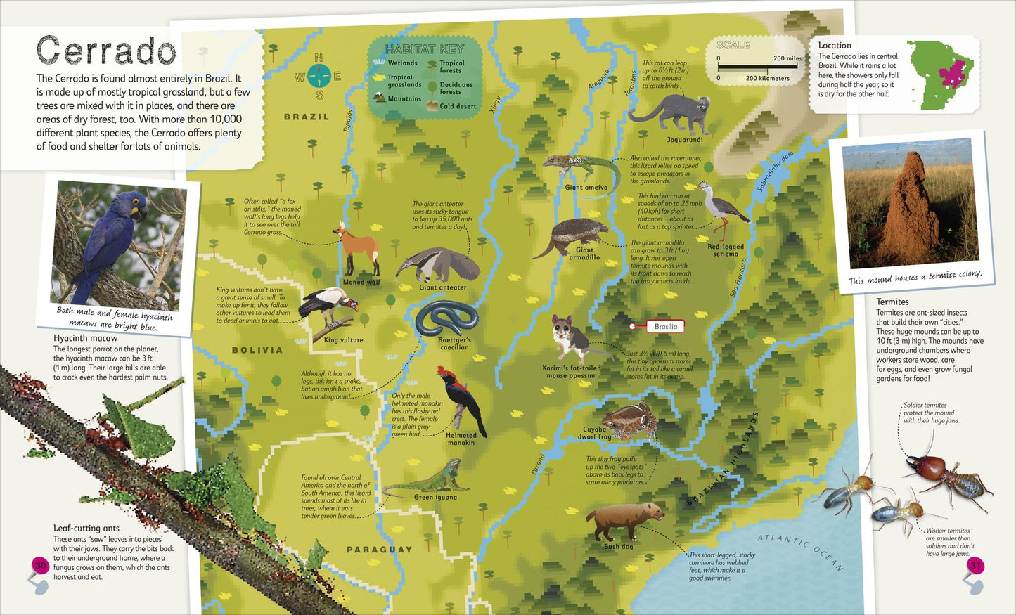 Children's Illustrated Atlas Collection