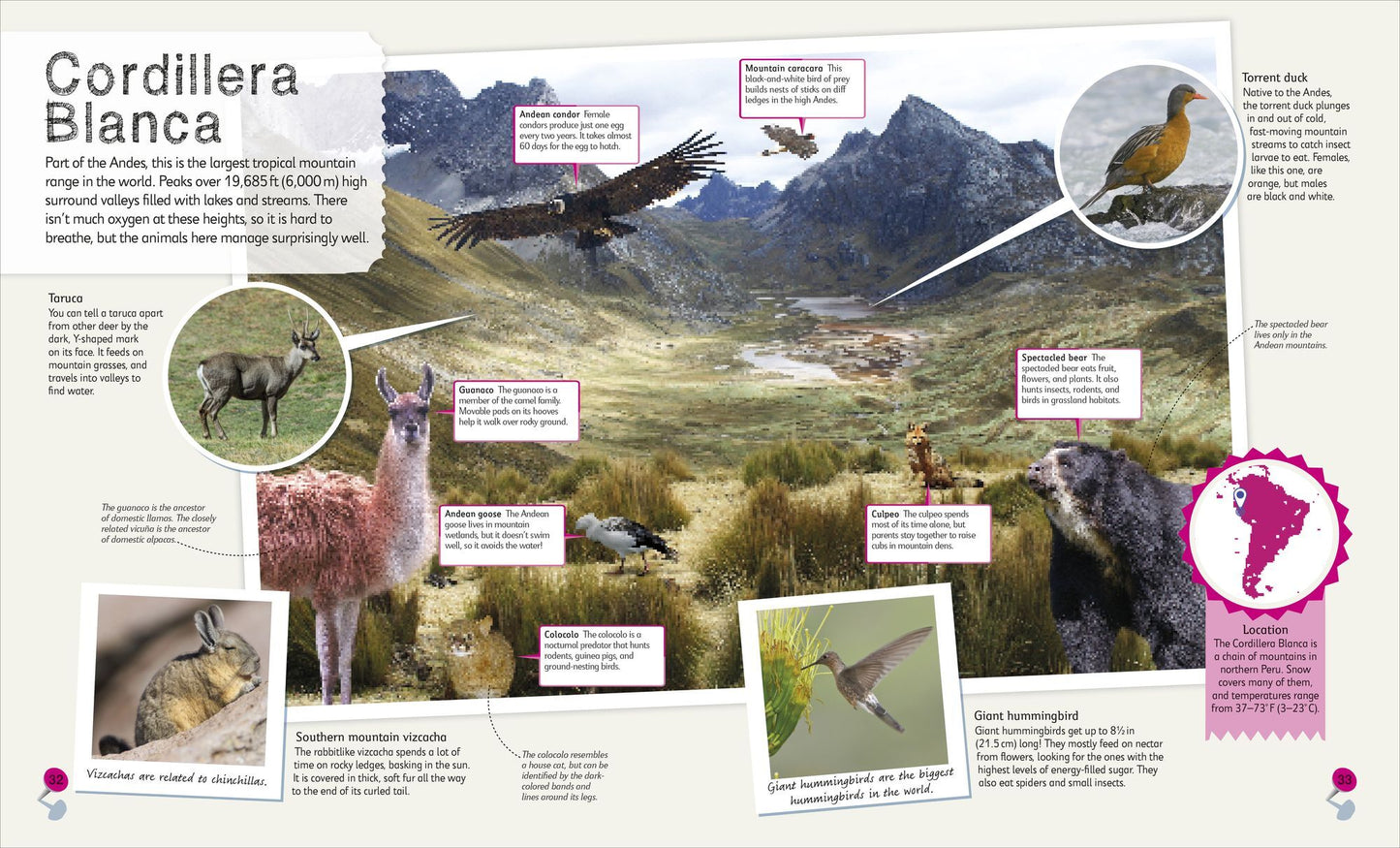 Children's Illustrated Atlas Collection