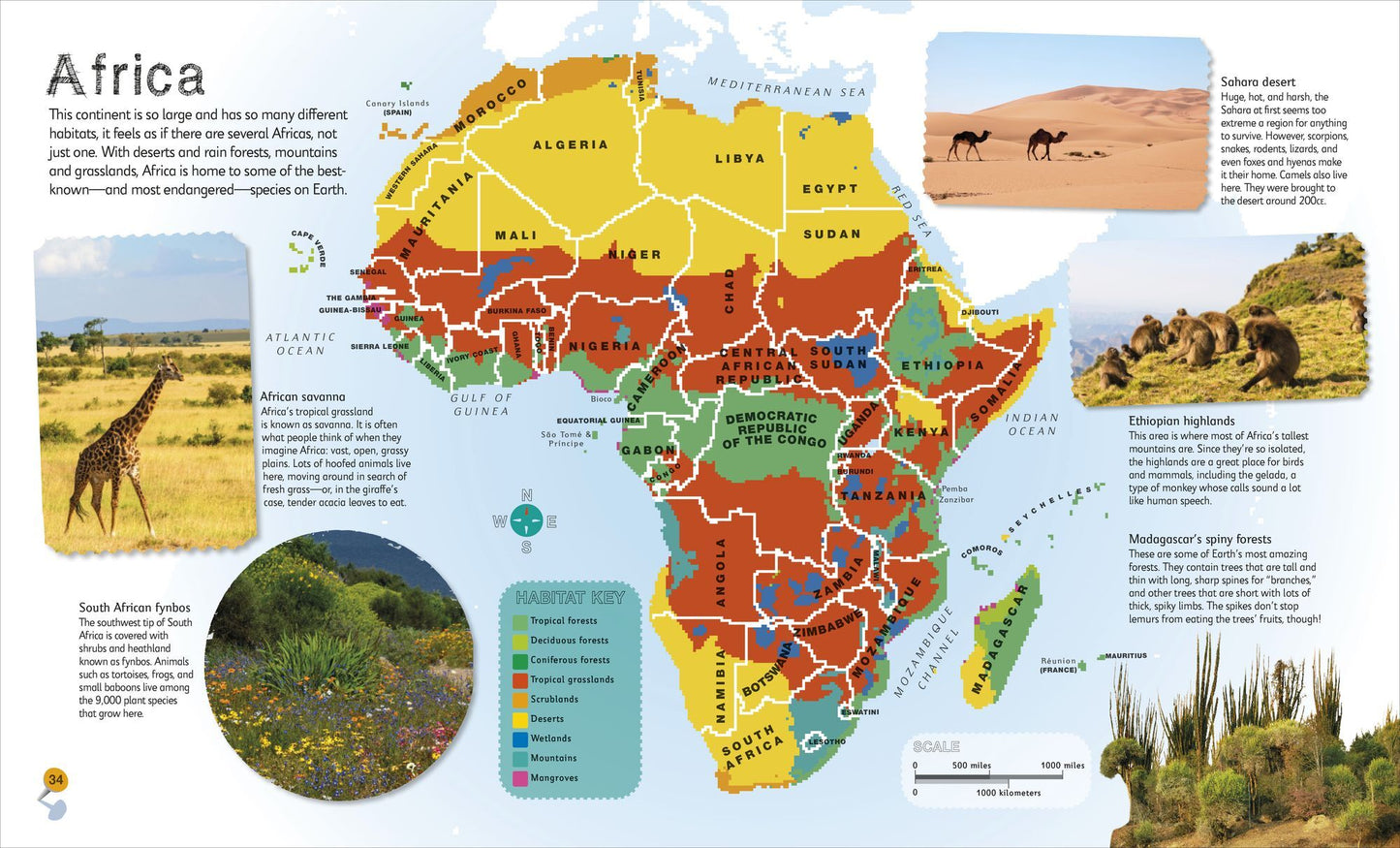 Children's Illustrated Atlas Collection