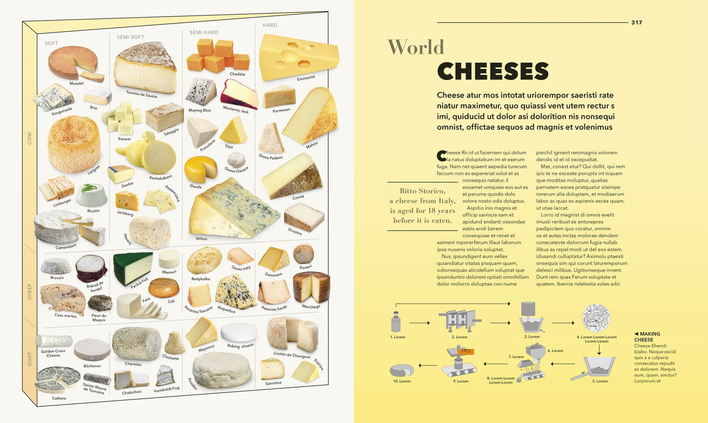 Knowledge A Visual Compendium: Making Sense of our World