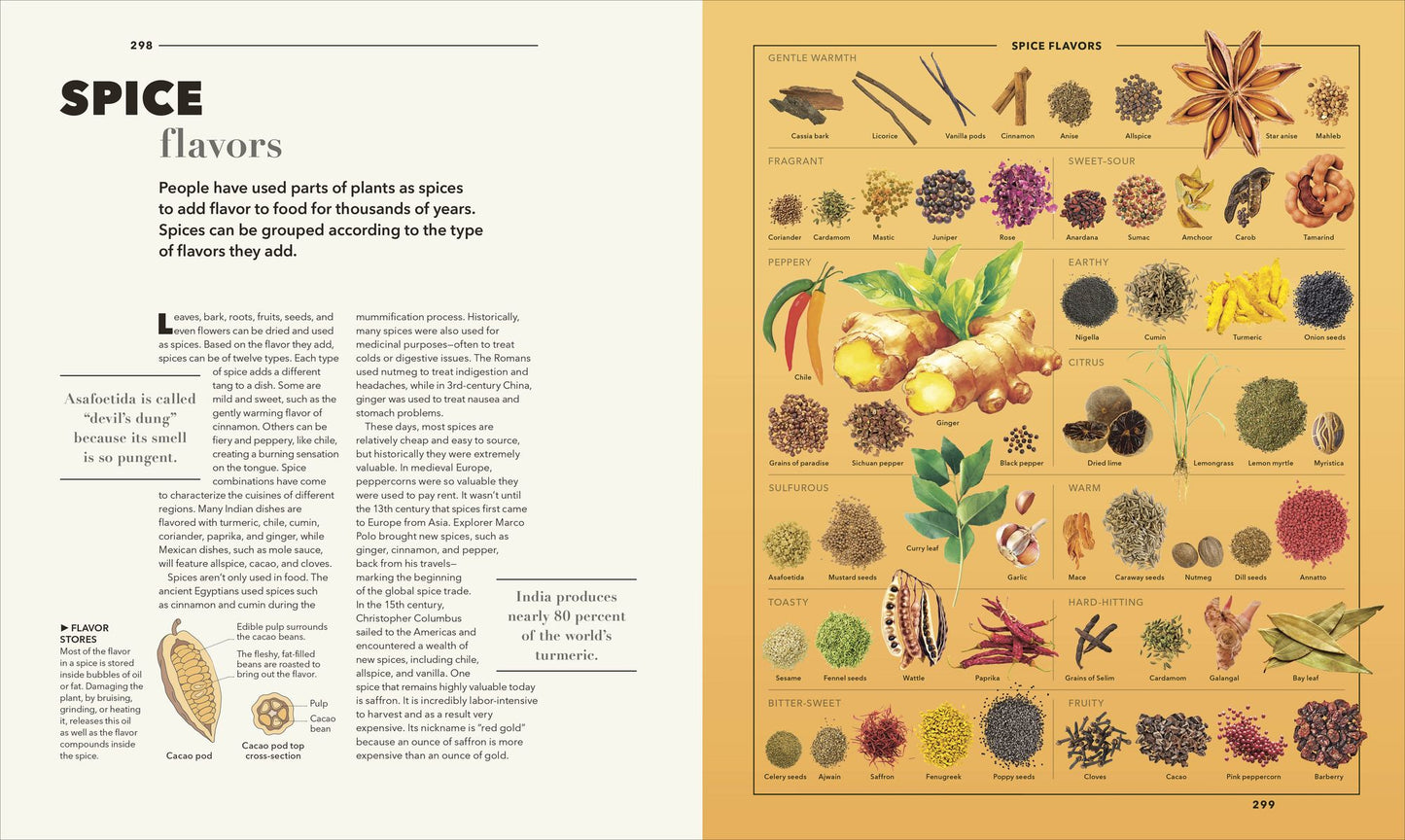 Knowledge A Visual Compendium: Making Sense of our World
