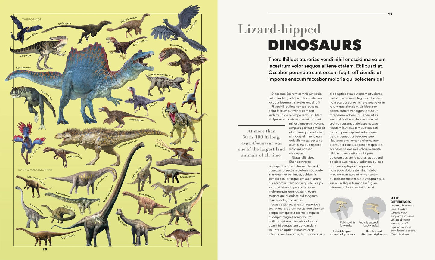 Knowledge A Visual Compendium: Making Sense of our World