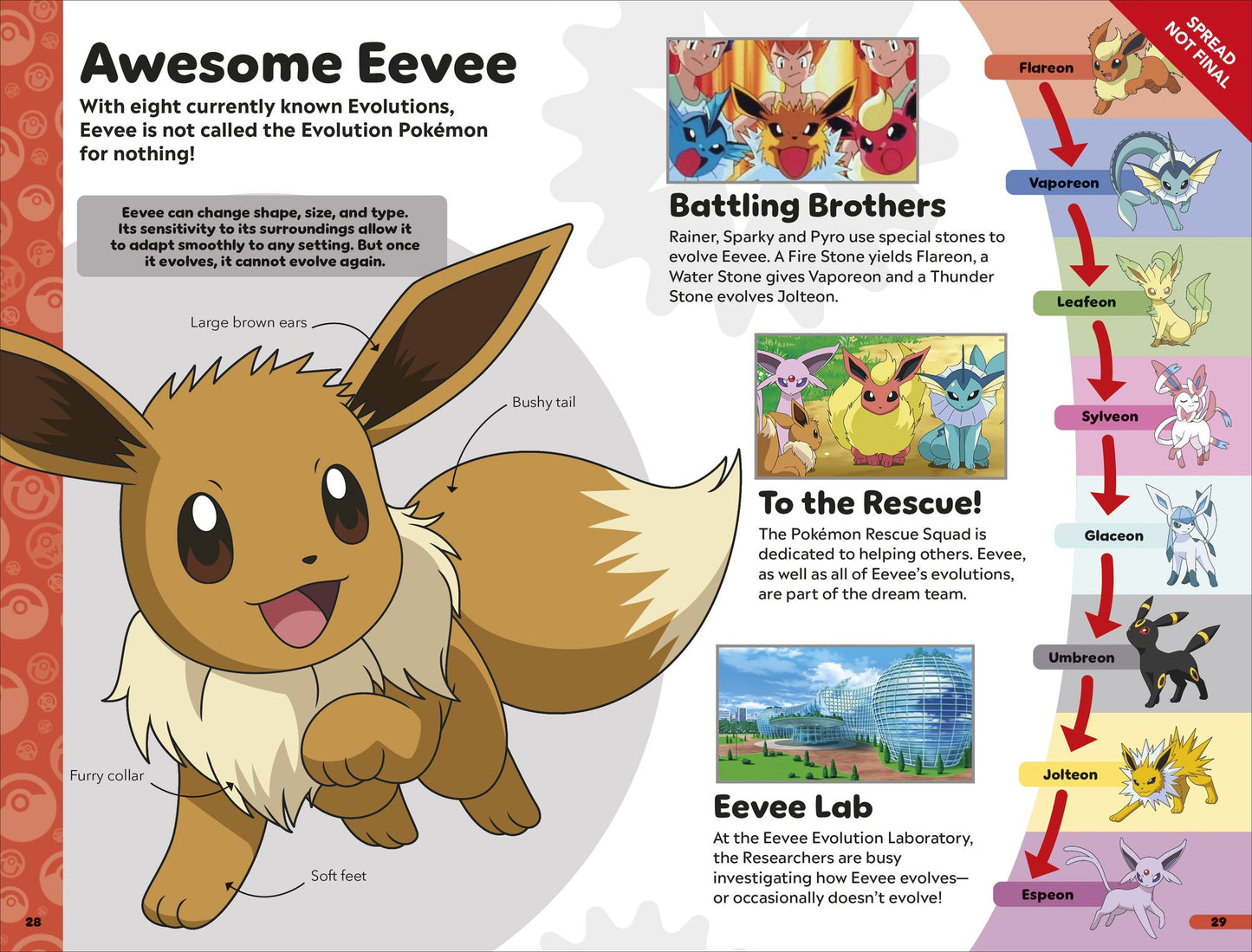 Pokémon Book of Evolutions