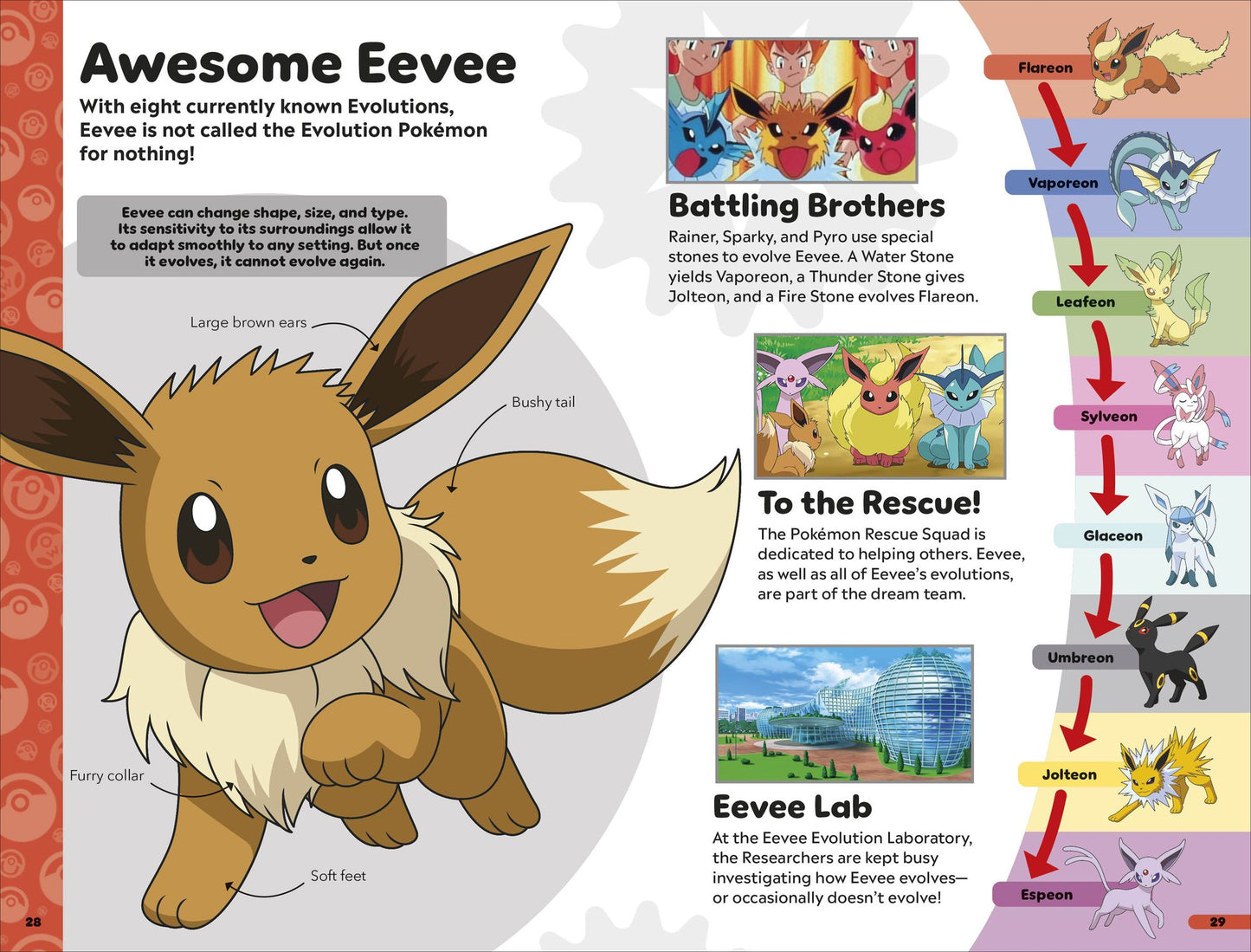Pokémon Book of Evolutions